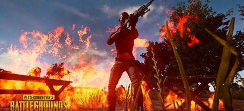 这个决定并 这个决定并