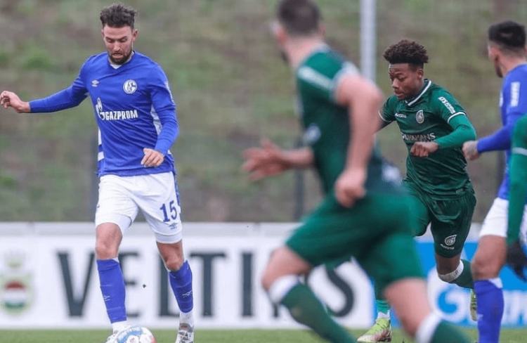 是少数兼具 是少数兼具